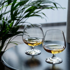 Brandy Glass 250ml Set of 6