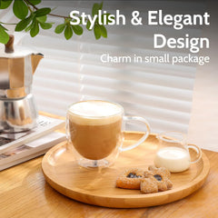 Double Wall Glass Mug 250ml