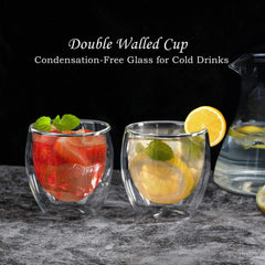 Double Wall Glass Tumber 250ml