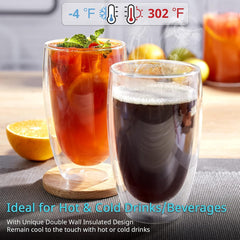 Double Wall Glass Tumbler 450ml