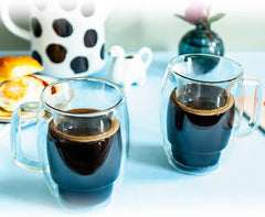 Double Wall Insulated Glass Mug 300ml