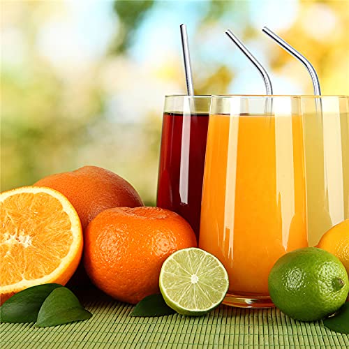 Stainless Steel Straw Set of 10